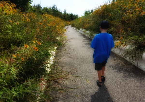 טיול יום Governors Island