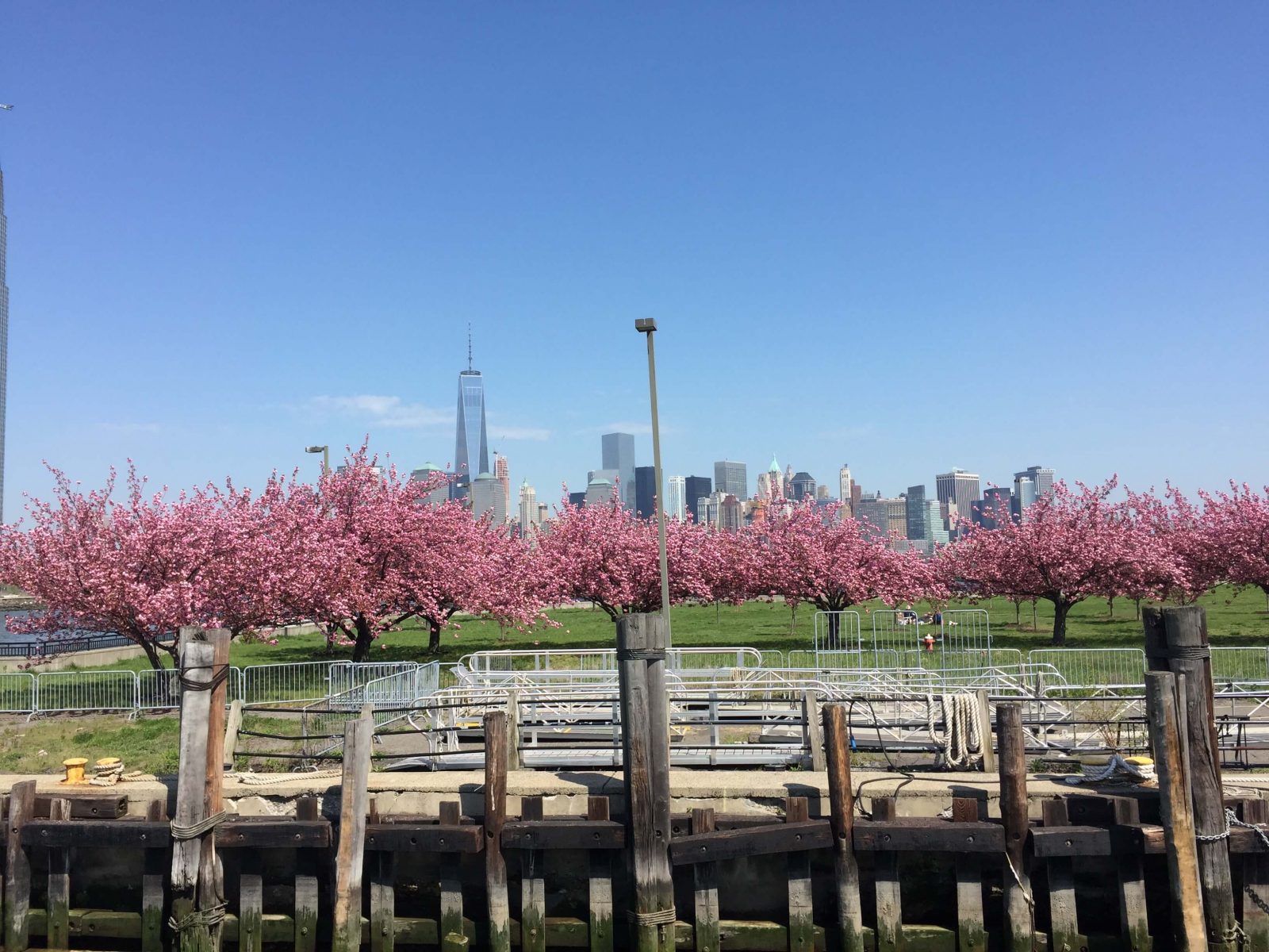 Sailors NYC