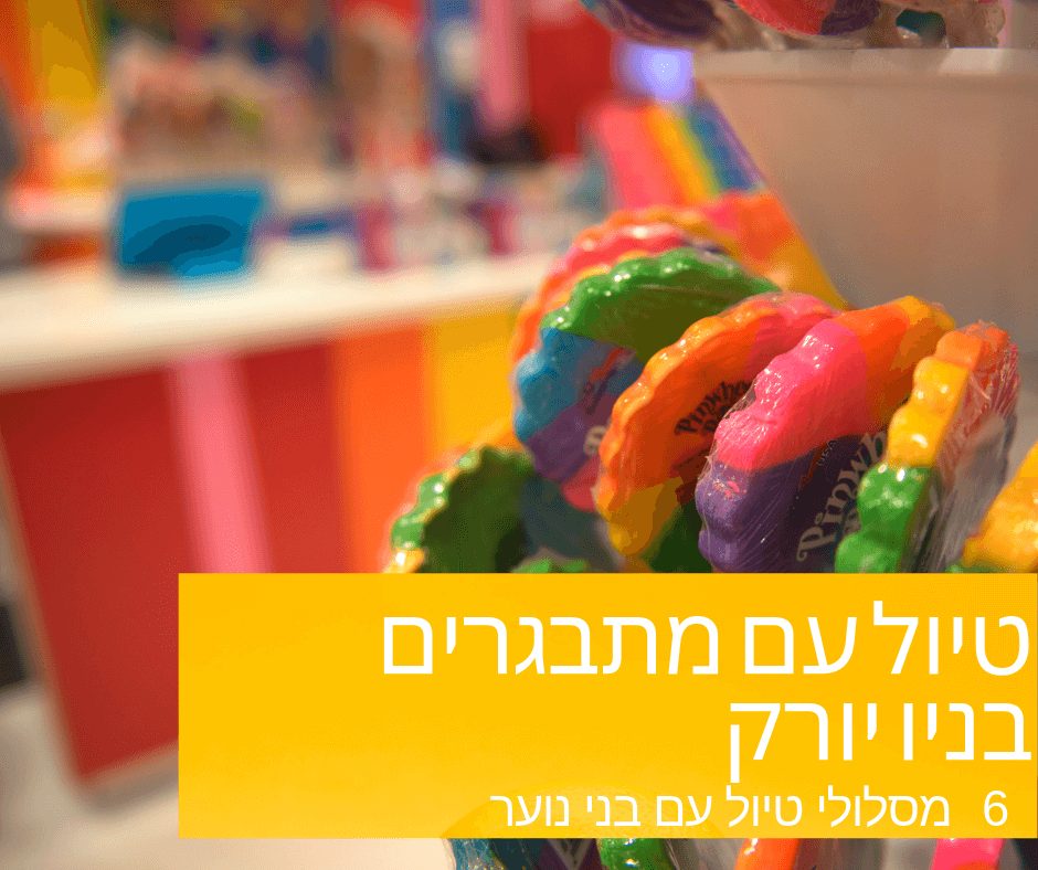 באמשלי טיול בניו יורק